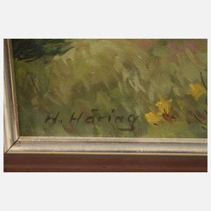 Heinrich Häring, Schwarzwaldlandschaft Ginster