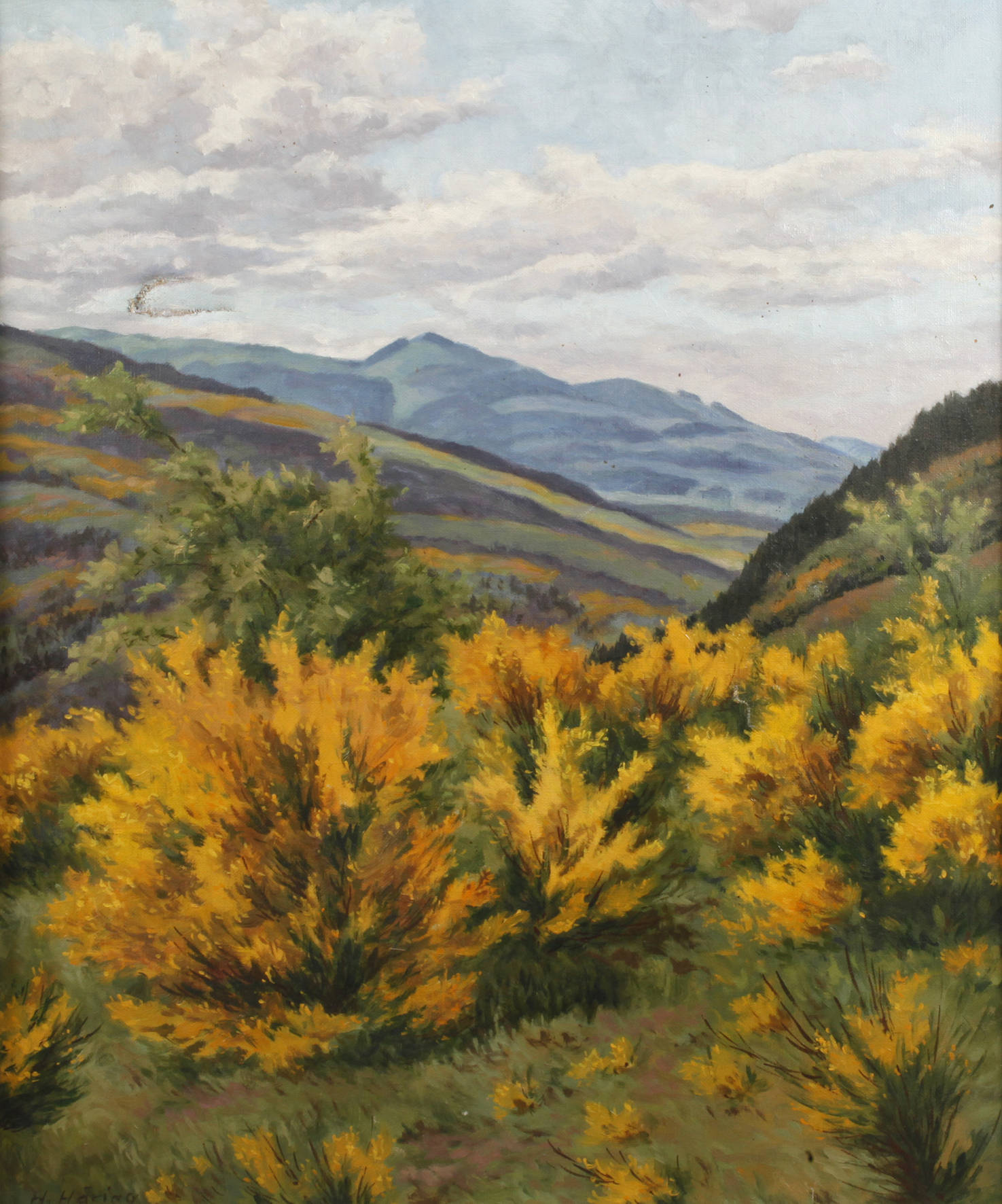 Heinrich Häring, Schwarzwaldlandschaft Ginster