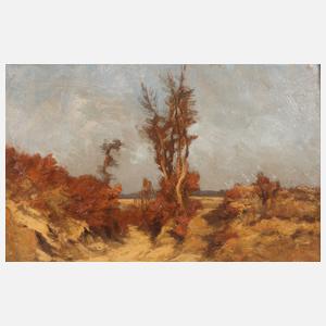 Herbstliche Dünenlandschaft