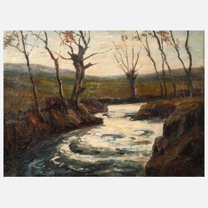 Herbstlicher Bachlauf