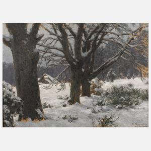 Prof. Paul von Ravenstein, ”Grauer Wintertag”