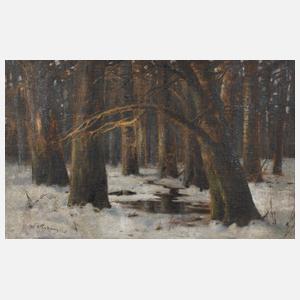 Mieczyslaw Korwin Piotrowski, Winterwald