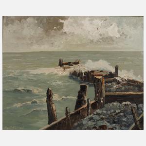 Prof. Georg Arnold-Graboné, An der Mole