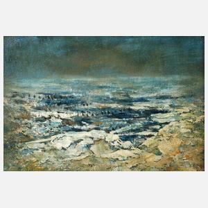 Prof. Otto Niemeyer-Holstein, Vereiste Ostsee