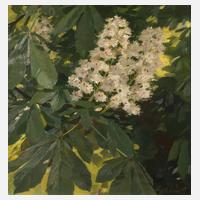 Felix Funk, Kastanienblüte111