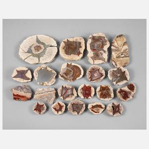 Sammlung Achate und Jaspis