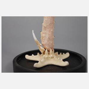 Maritime Installation