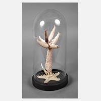 Maritime Installation111