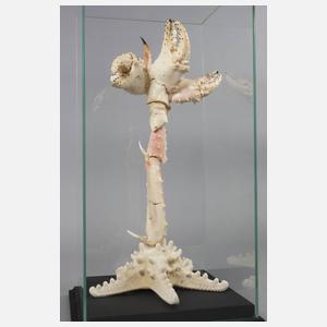 Maritimer Schaukasten