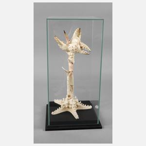 Maritimer Schaukasten