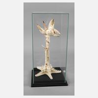 Maritimer Schaukasten111