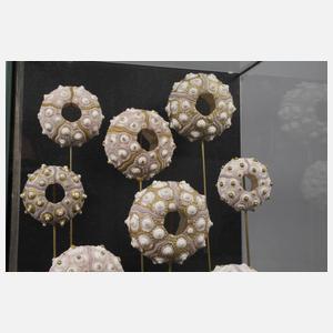 Maritimer Schaukasten