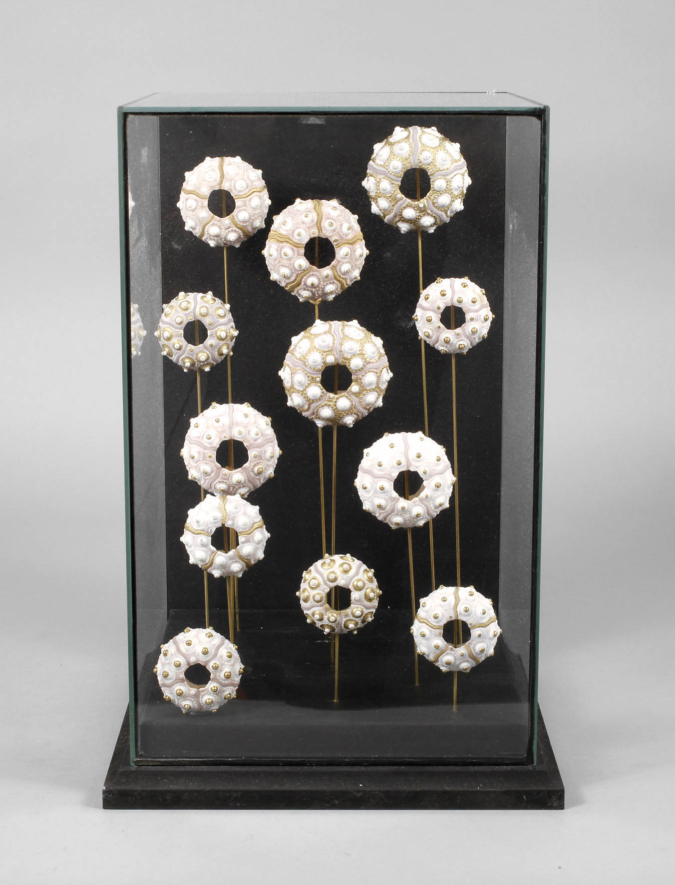 Maritimer Schaukasten