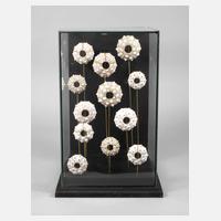 Maritimer Schaukasten111