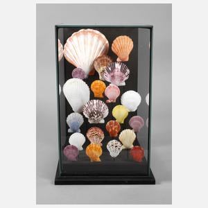 Maritimer Schaukasten