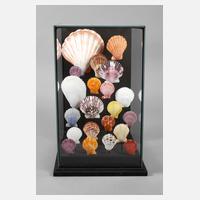 Maritimer Schaukasten111