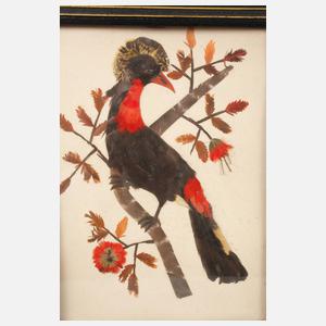 Paar exotische Federbilder