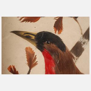 Paar exotische Federbilder