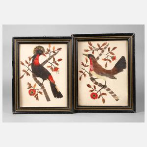 Paar exotische Federbilder