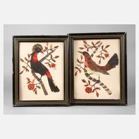 Paar exotische Federbilder111