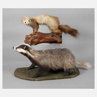 Zwei Tierpräparate111