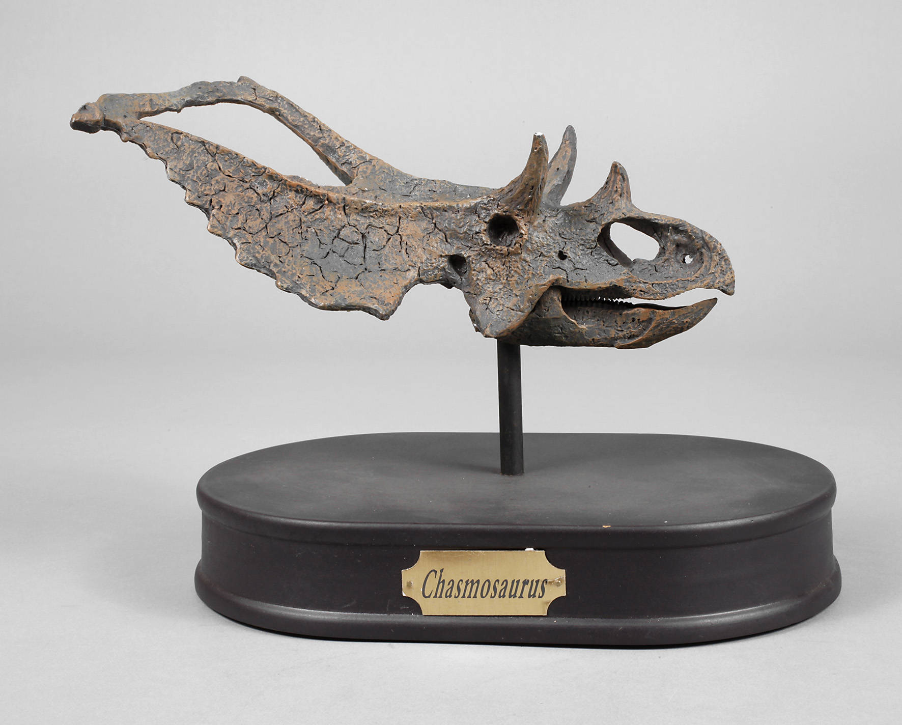 Paläontologisches Modell