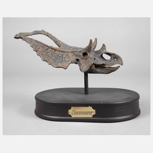 Paläontologisches Modell