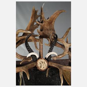 Prächtiger Geweihspiegel