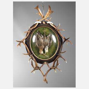 Tierpräparat im Schaukasten