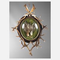 Tierpräparat im Schaukasten111