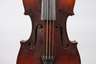 Violine