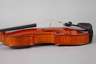 Violine im Etui