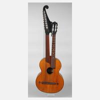 Doppelhalsgitarre111