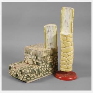 Zwei biologische Anschauungsmodelle