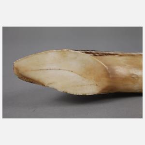 Tischzier Keilerzahn