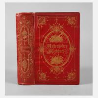Rottenhöfers Kochbuch 1882111
