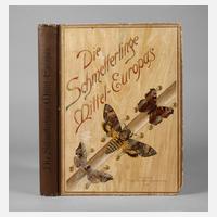 Die Schmetterlinge Mittel-Europas111