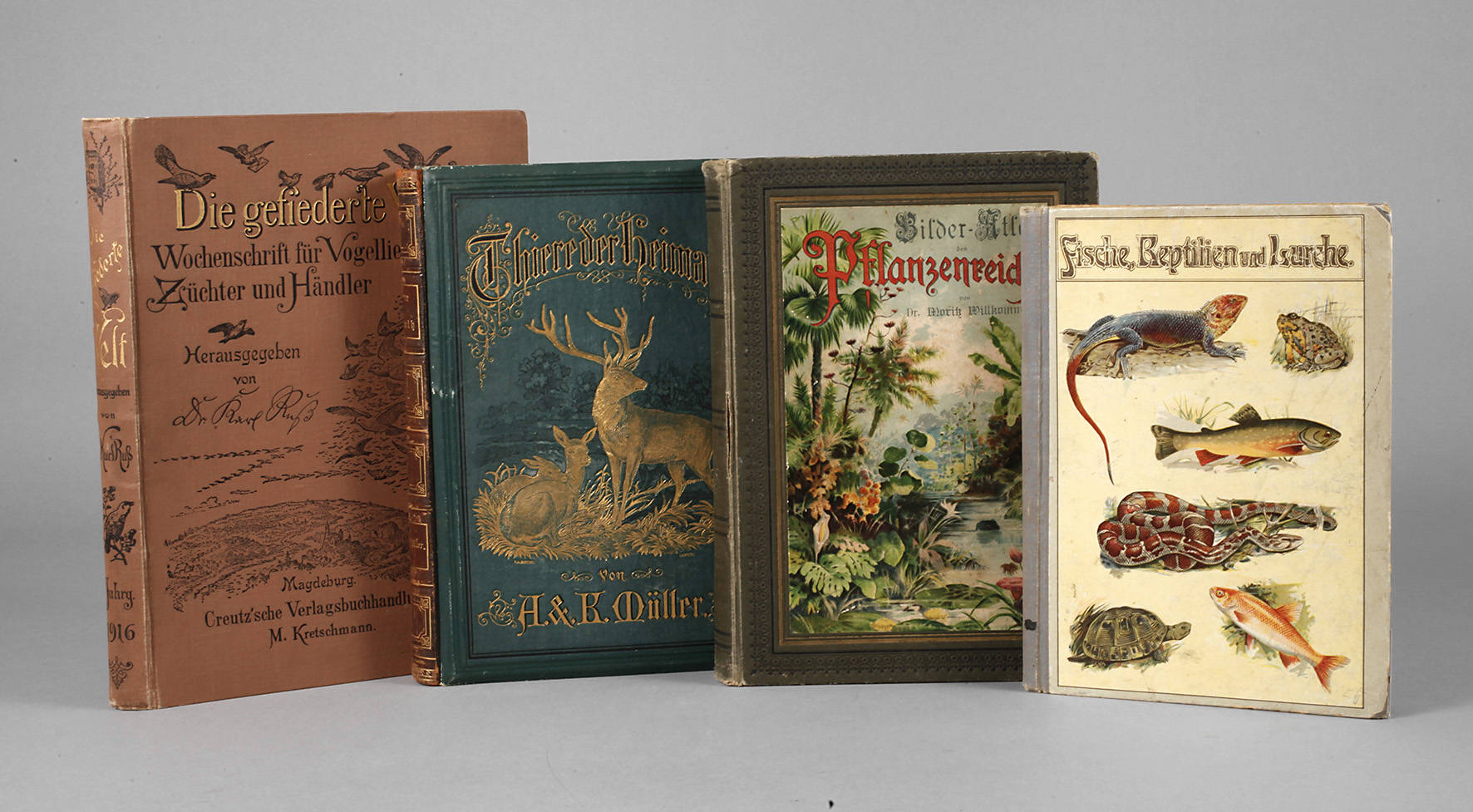 Konvolut Fachliteratur Naturkunde