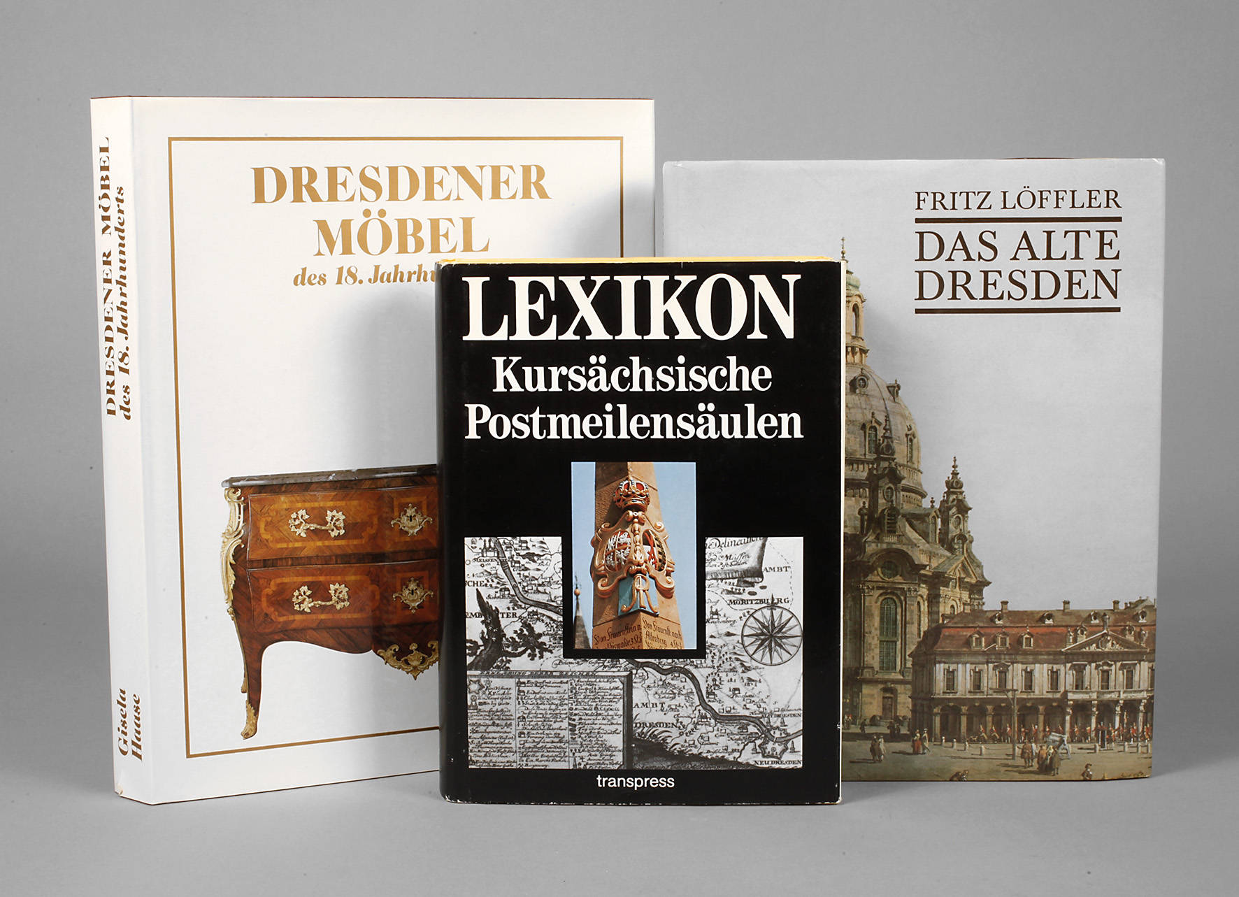 Konvolut Fachliteratur Dresden