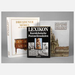 Konvolut Fachliteratur Dresden