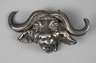 Gürtelschließe als Büffelkopf