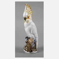 KPM Berlin Gelbhaubenkakadu111