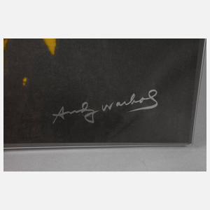 Rosenthal Schale Andy Warhol