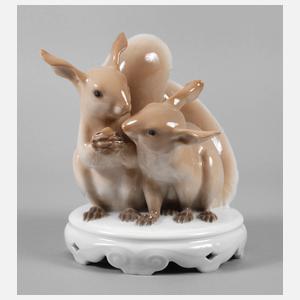 Kopenhagen Eichhörnchengruppe