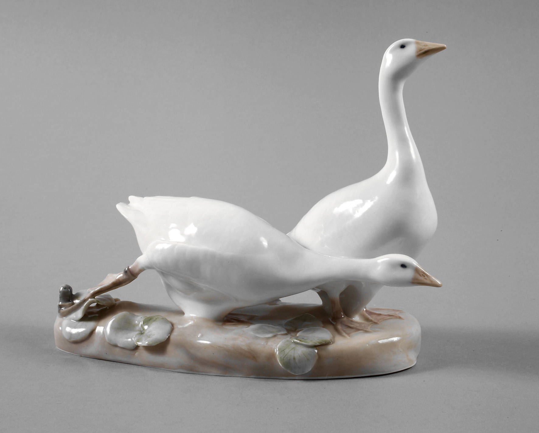 Kopenhagen Gänsepaar