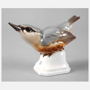 Nymphenburg Baumläufer