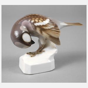 Nymphenburg Sperling