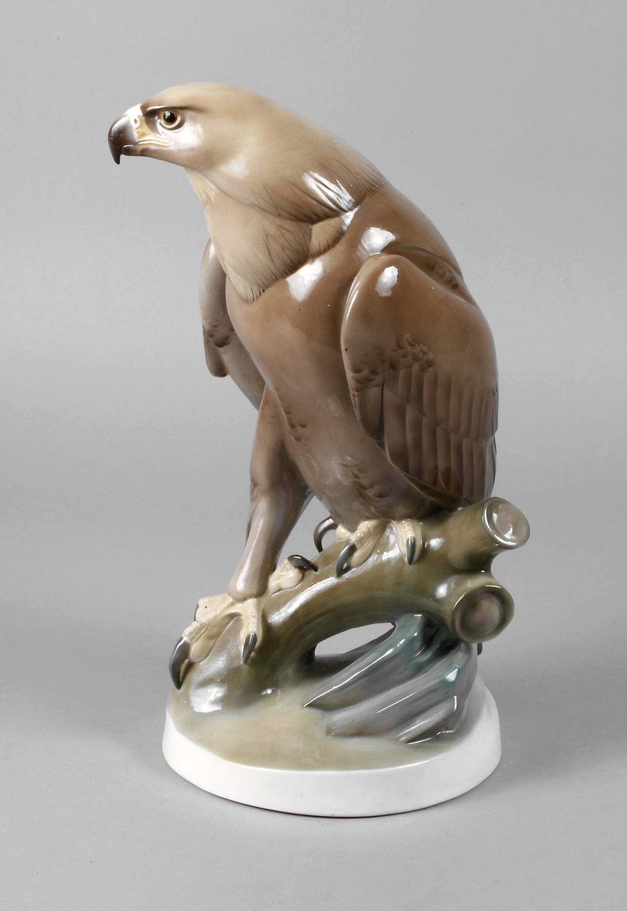 Schierholz Plaue großer Falke auf Ast