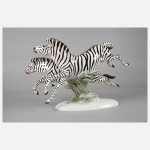 Rosenthal große Zebragruppe