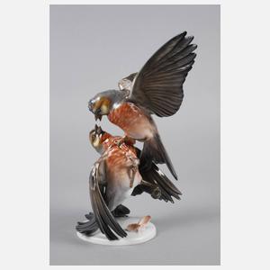 Rosenthal kämpfende Buchfinken